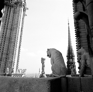 Gargoyles on the roof of Notre-Dame